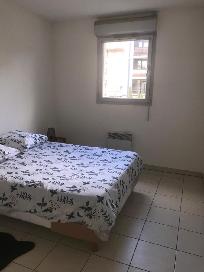 Appartement Entier T2 Avec Piscine Paradis Entierement Meuble Proche Metro Тулуза Екстер'єр фото