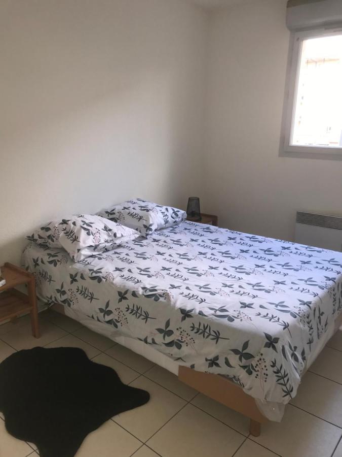Appartement Entier T2 Avec Piscine Paradis Entierement Meuble Proche Metro Тулуза Екстер'єр фото