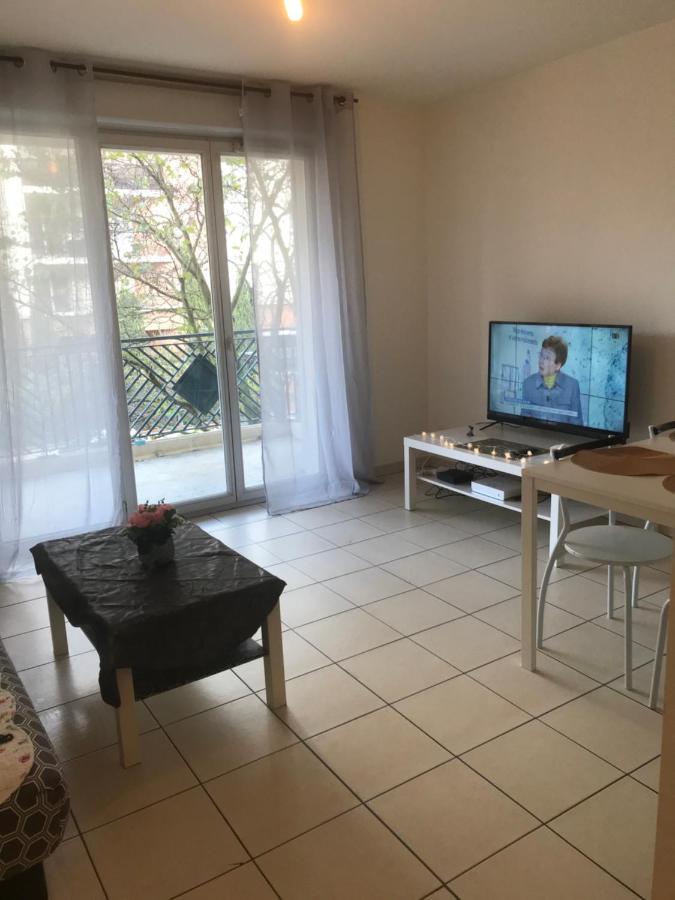 Appartement Entier T2 Avec Piscine Paradis Entierement Meuble Proche Metro Тулуза Екстер'єр фото