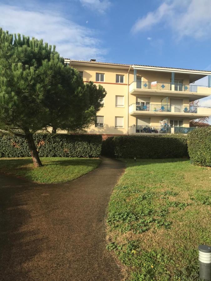 Appartement Entier T2 Avec Piscine Paradis Entierement Meuble Proche Metro Тулуза Екстер'єр фото