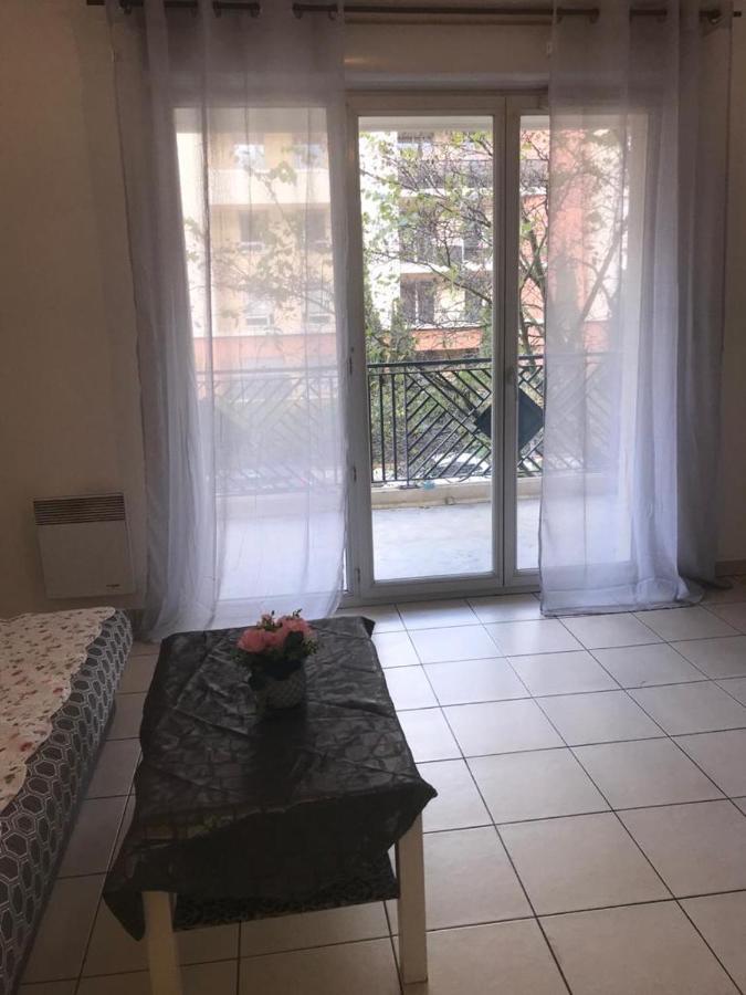 Appartement Entier T2 Avec Piscine Paradis Entierement Meuble Proche Metro Тулуза Екстер'єр фото